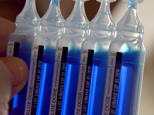 Les Gazouillis de Nathalie